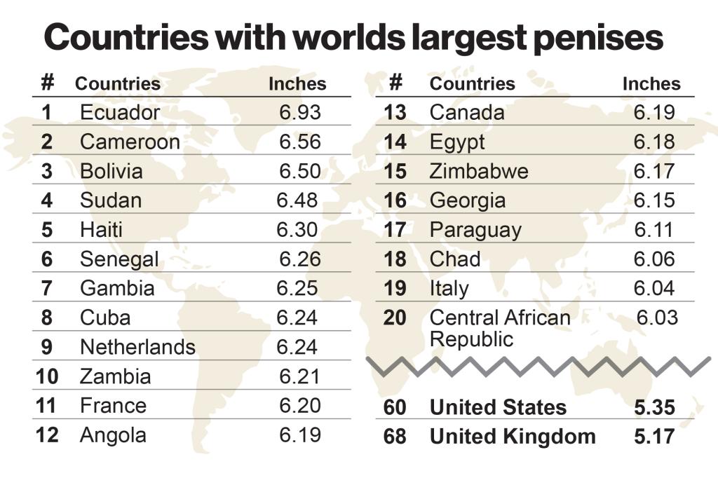 penis sizes chart